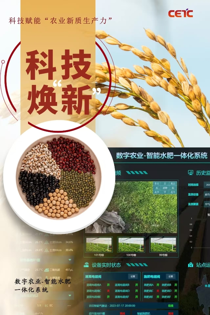 粮食2