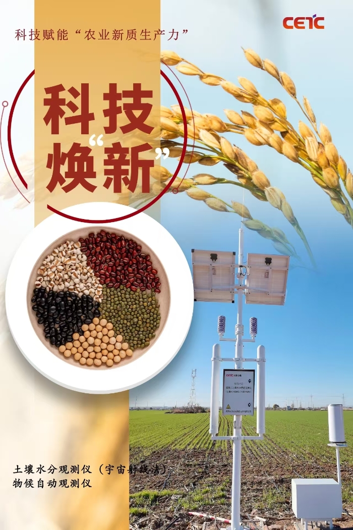 粮食3